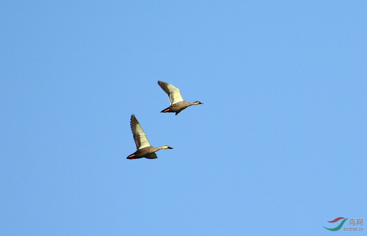 DSC_5644.JPG