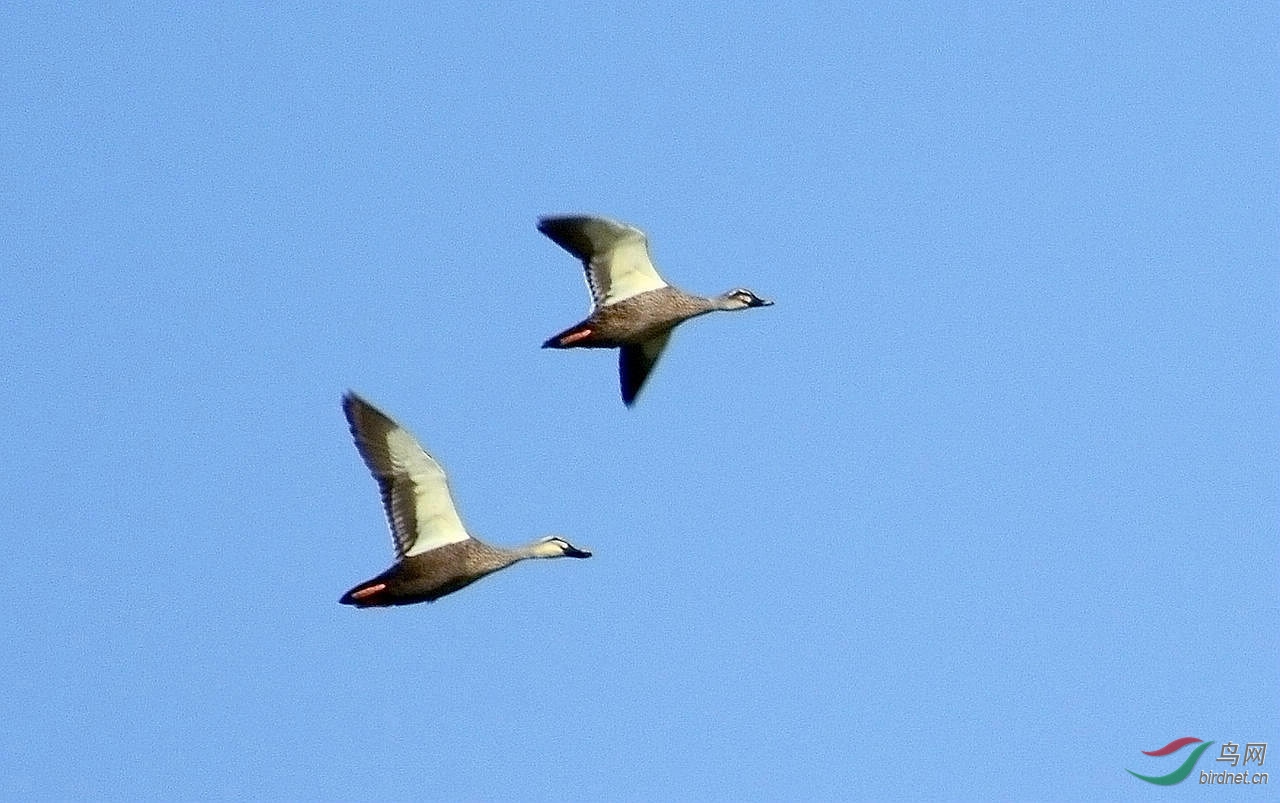 DSC_5645.JPG