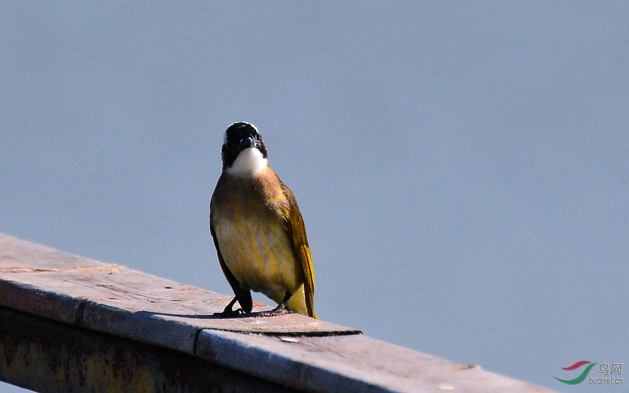 DSC_6815.JPG