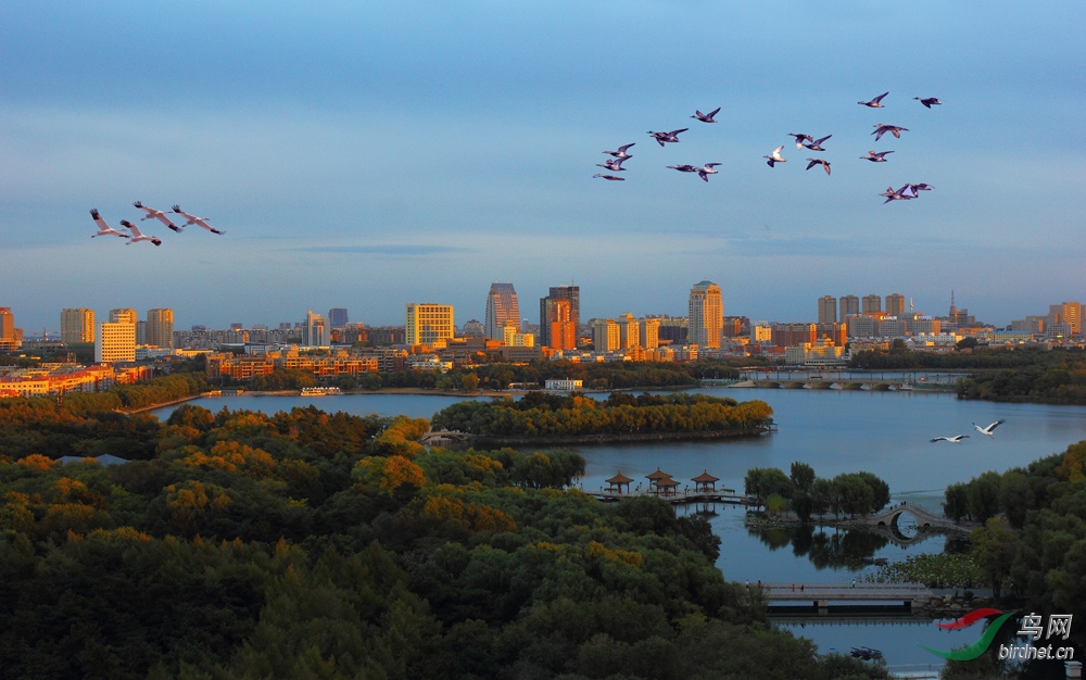 創意鳥瞰長春市南湖公園