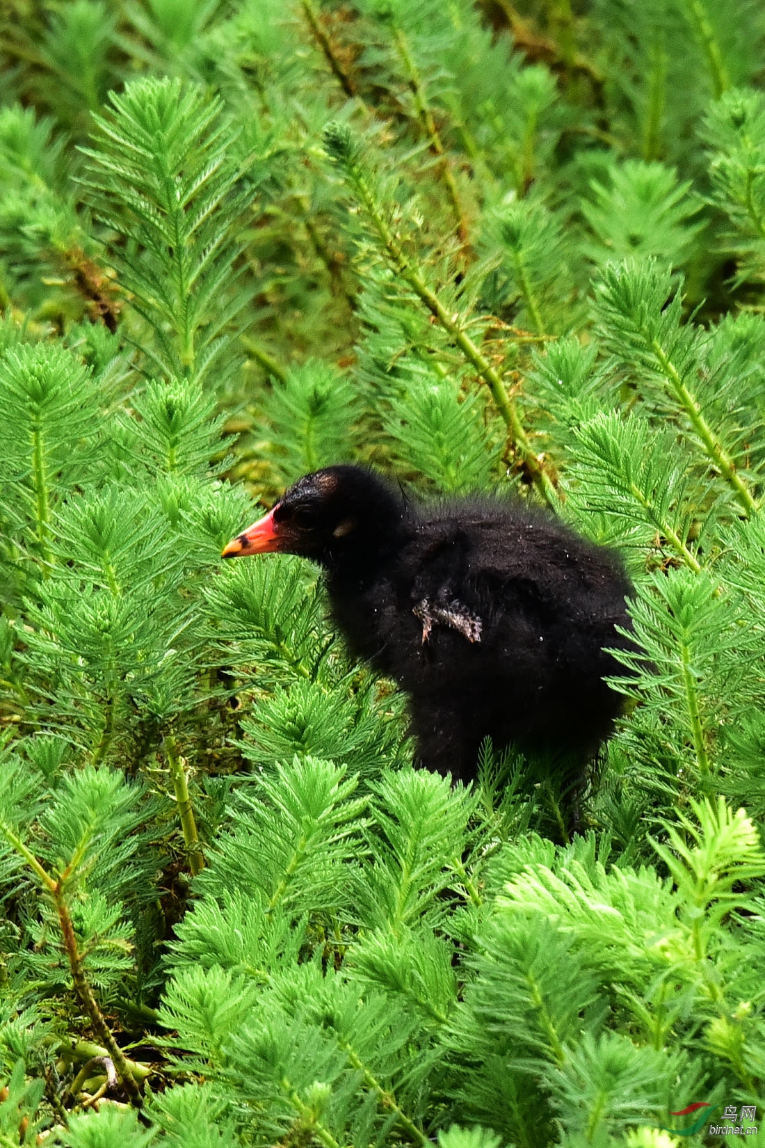 DSC_0562.JPG