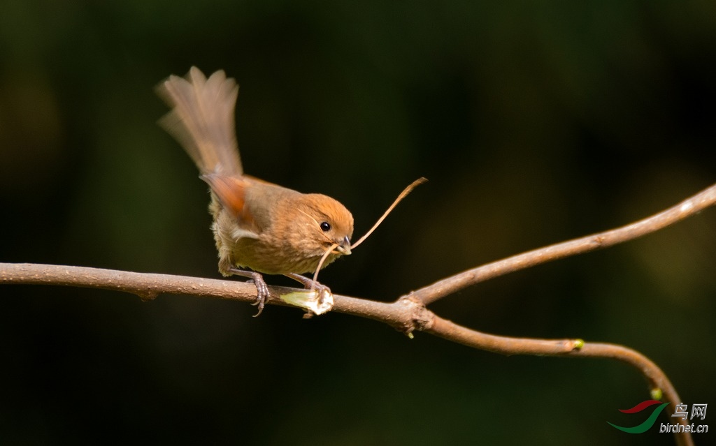 DSC_4724.jpg