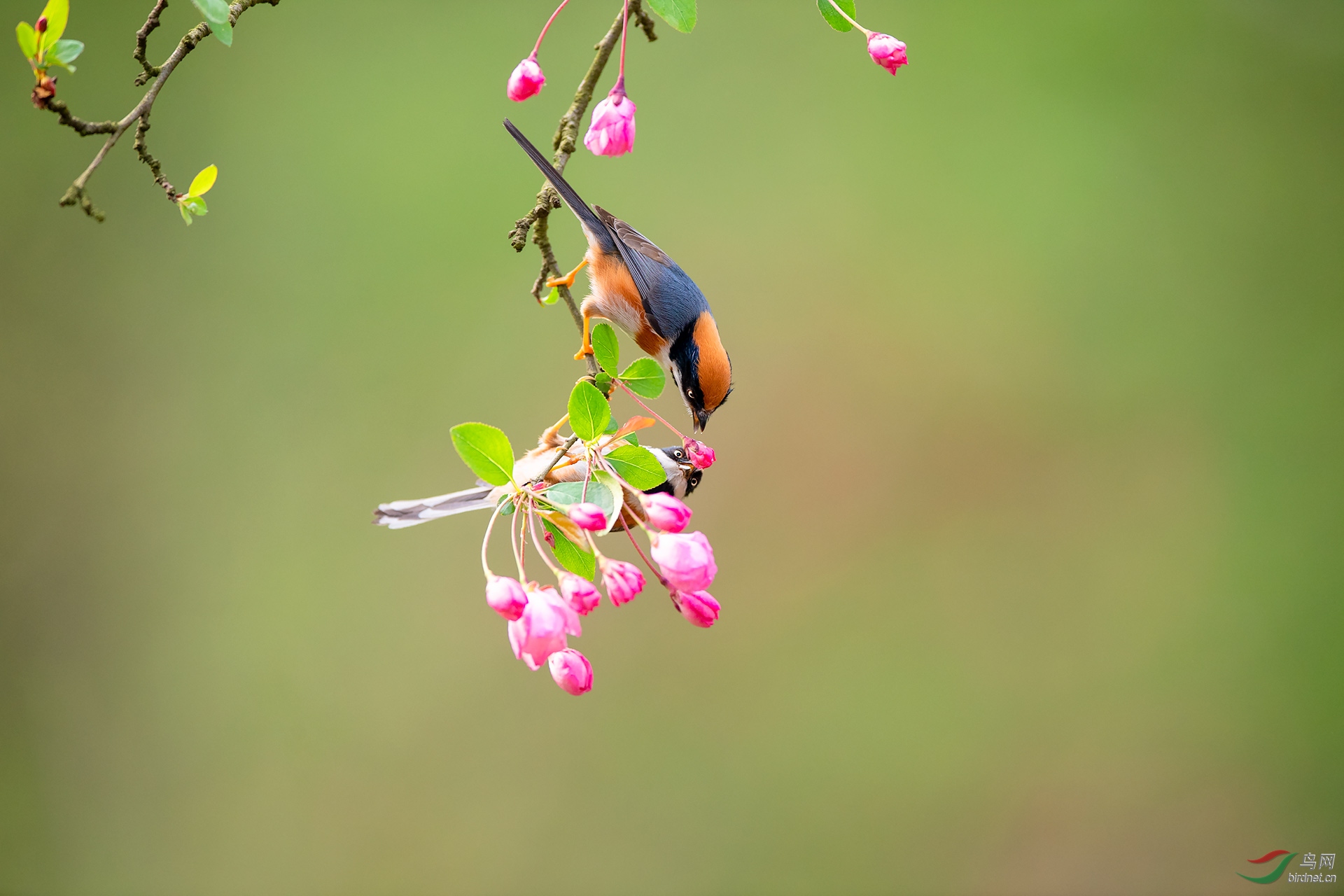DSC_5096f.jpg