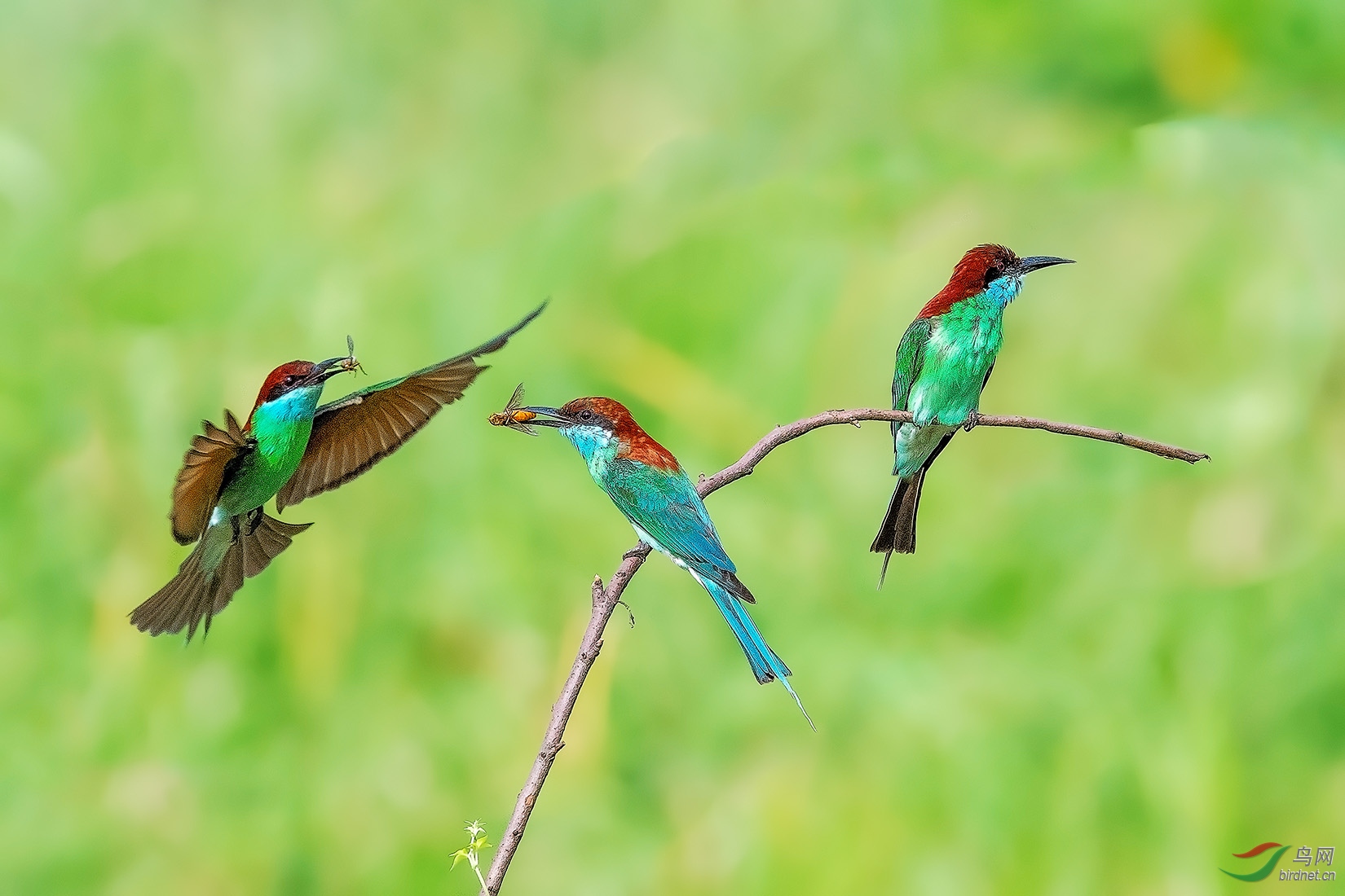 DSC_4720-a.jpg