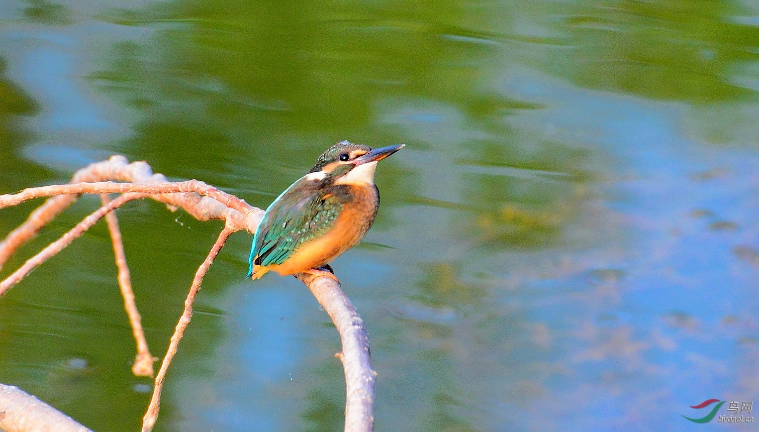 DSC_6001.JPG