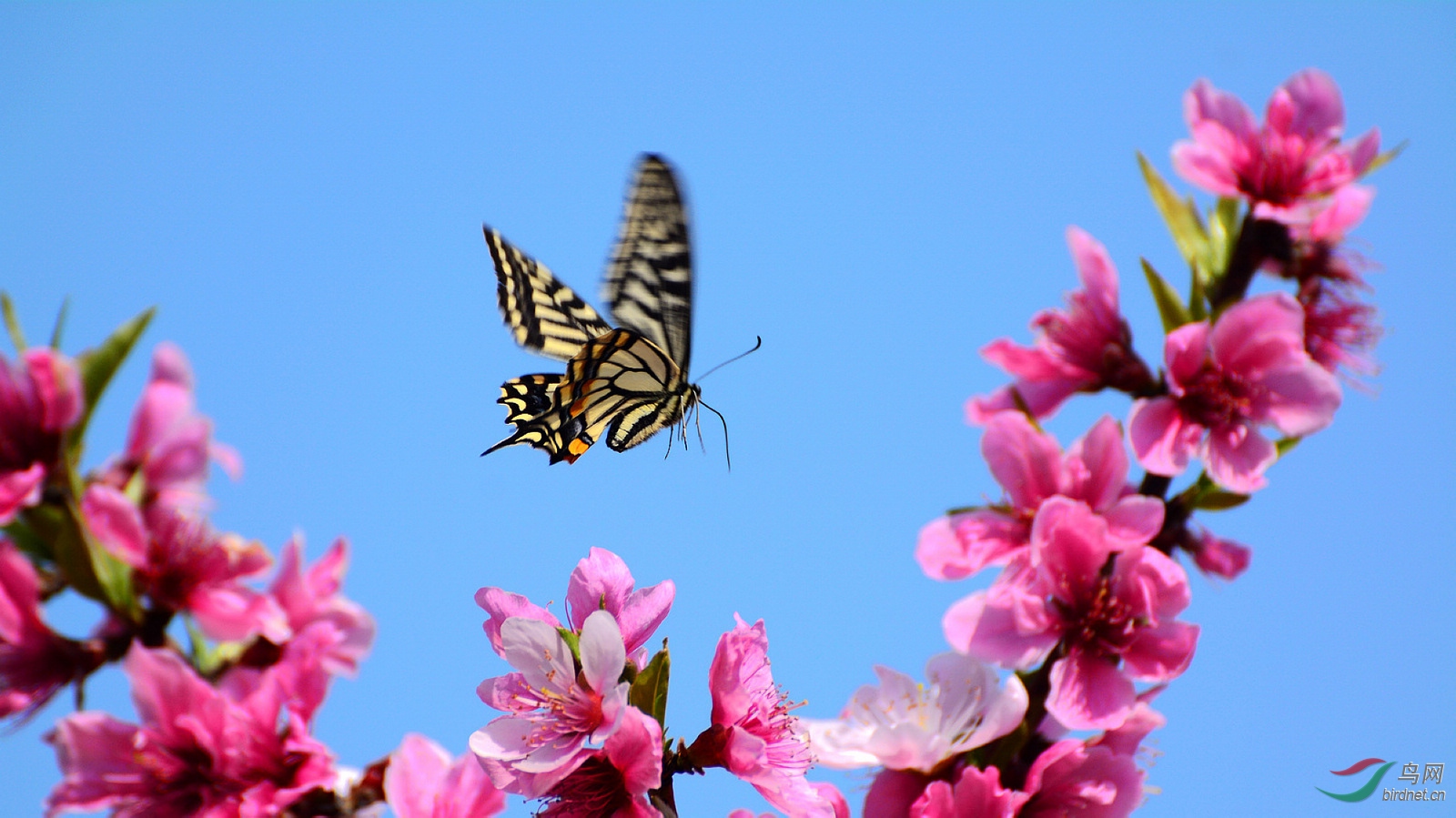 ��԰ ����   DSC_2366.JPG