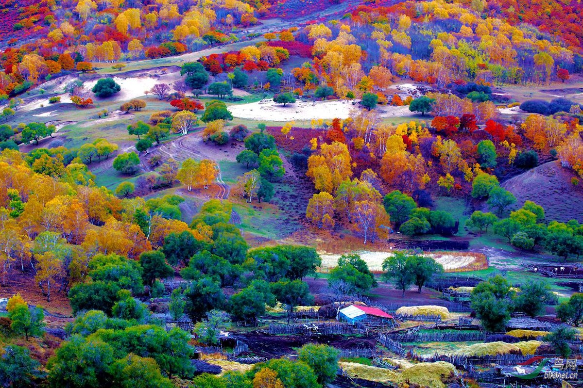 斑斓秋色