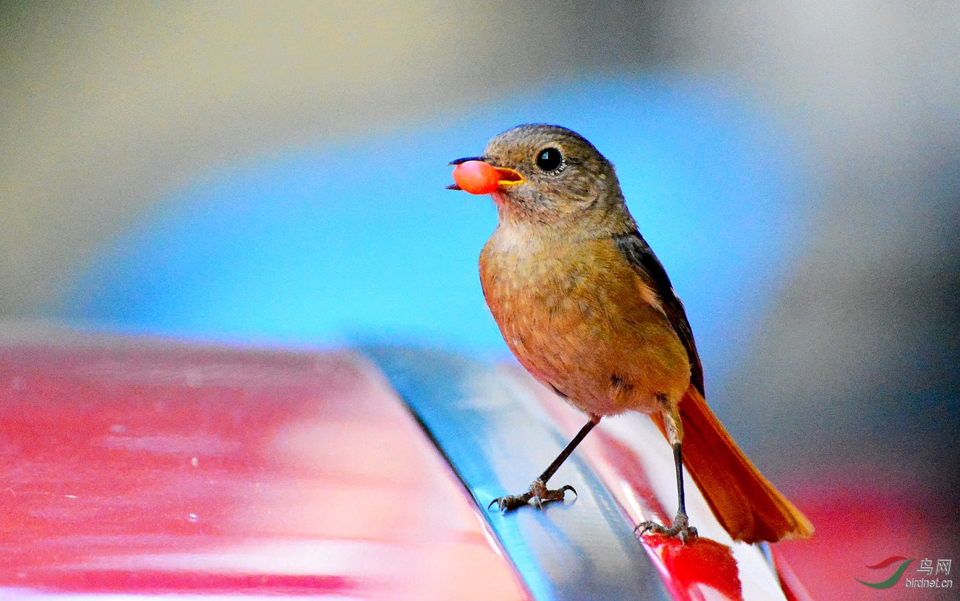DSC_8244.JPG
