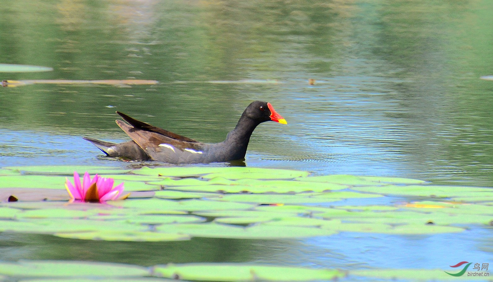 DSC_7282.JPG