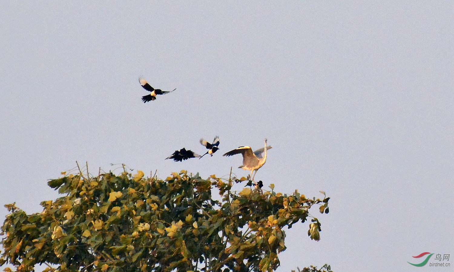 DSC_5416.JPG