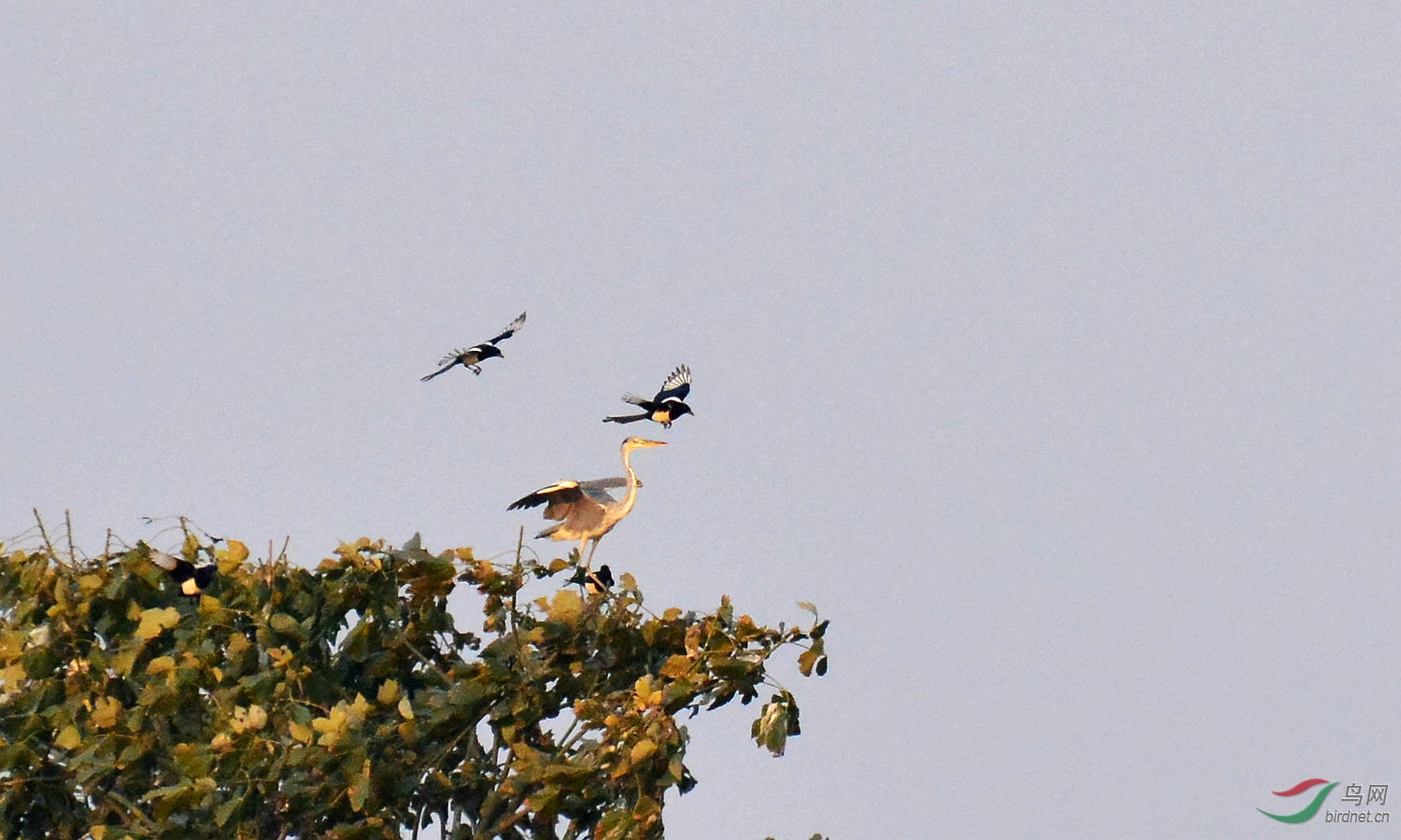DSC_5419.JPG