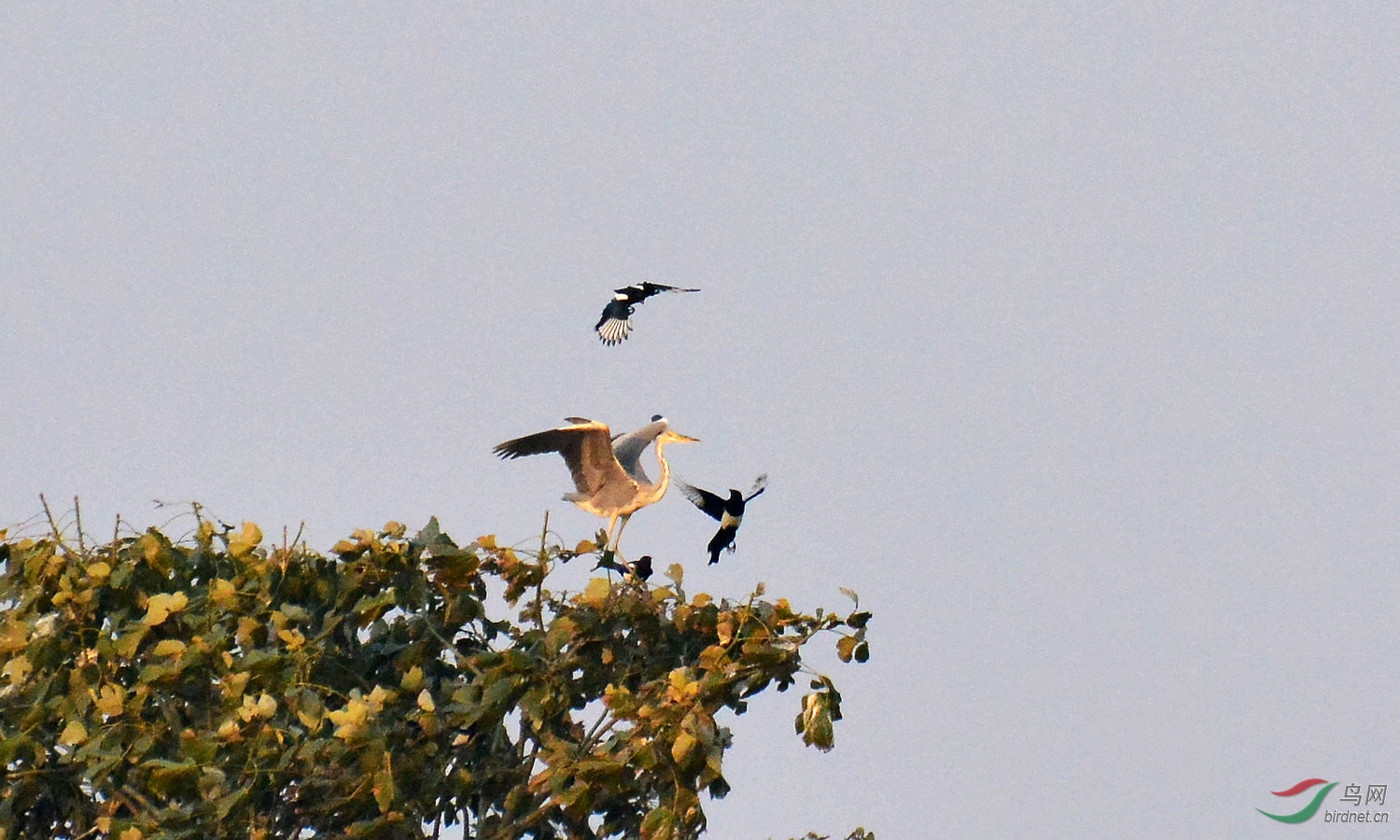 DSC_5412.JPG