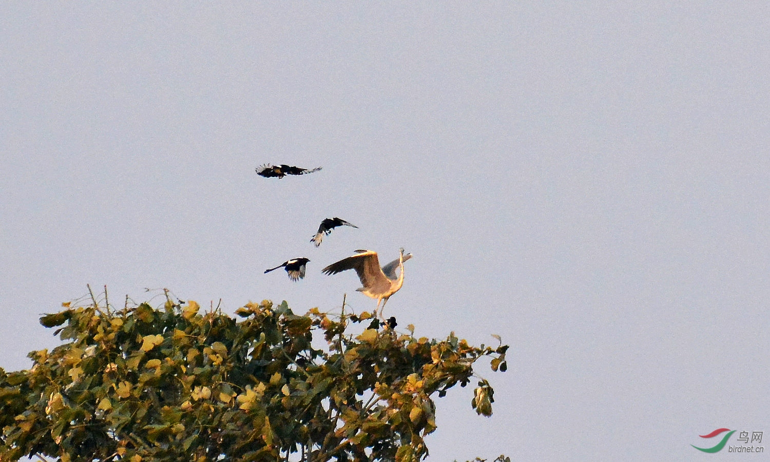 DSC_5415.JPG