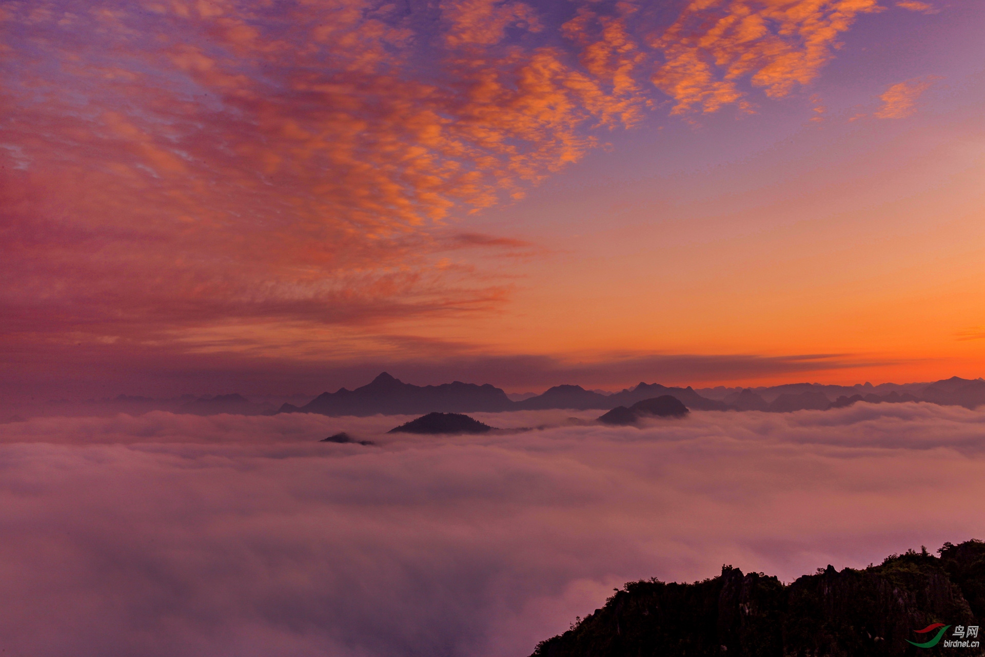 雾海壮观霞儿美