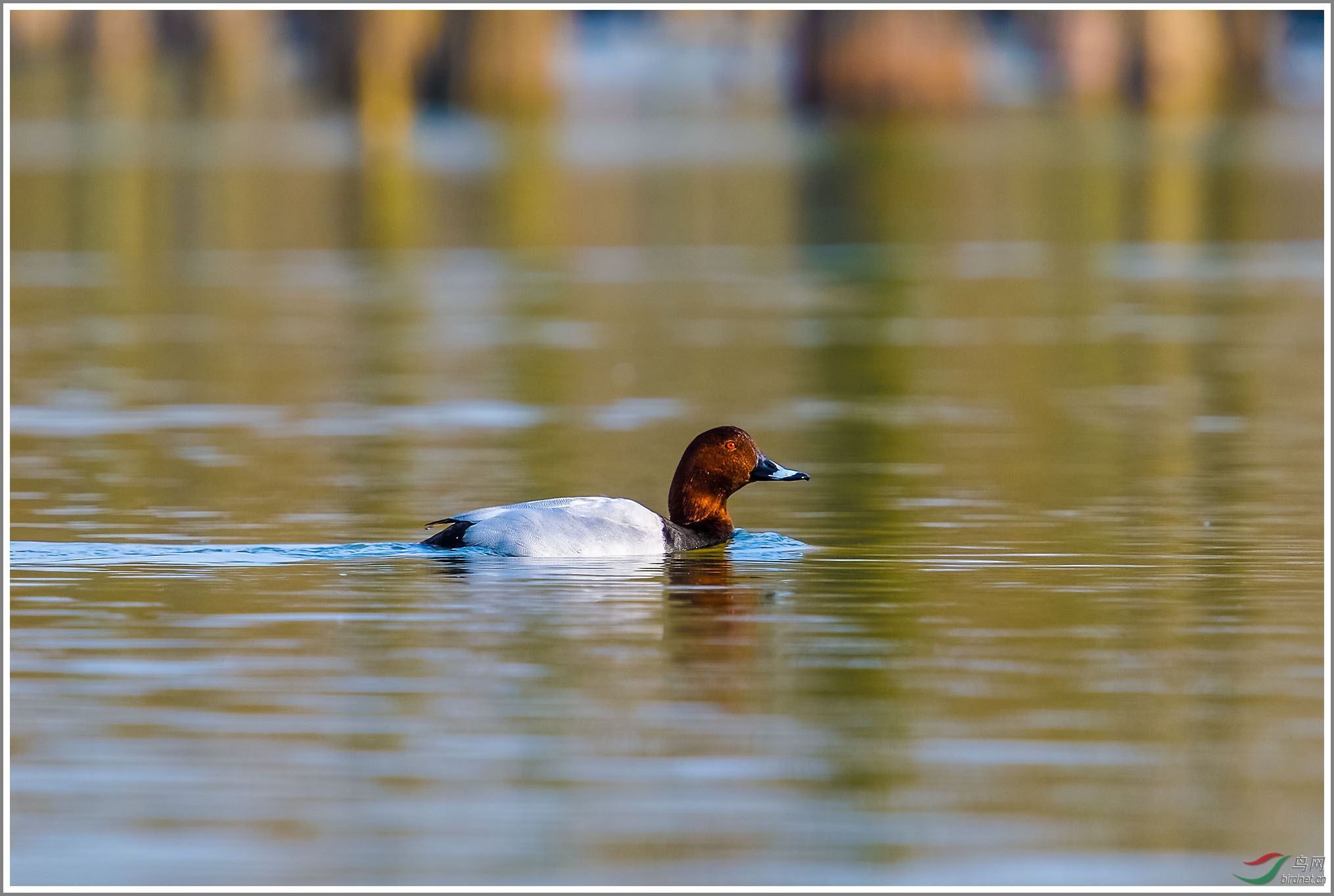 ��_XUX0111��Ϊ���ܶ���-1 2000.jpg