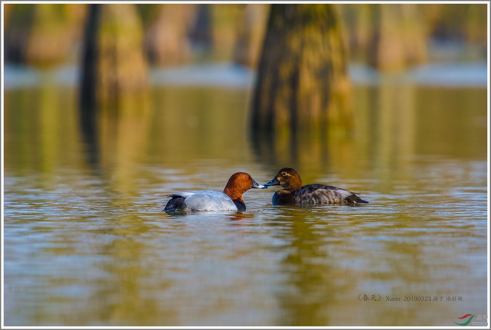 ��_XUX0154��Ϊ���ܶ���-1 2000.jpg