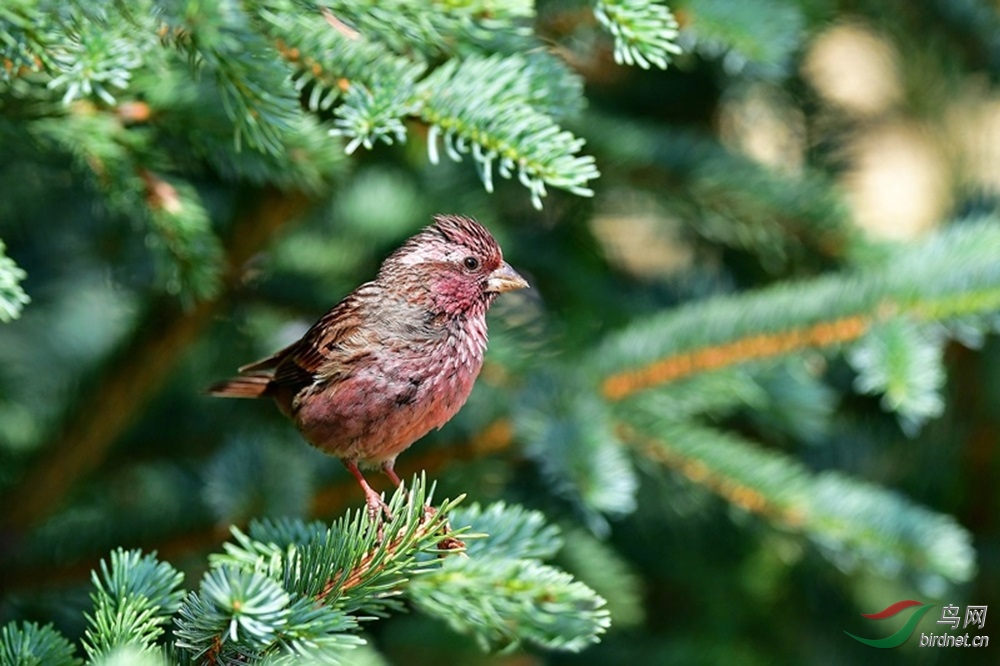 00-DSC_9429.JPG