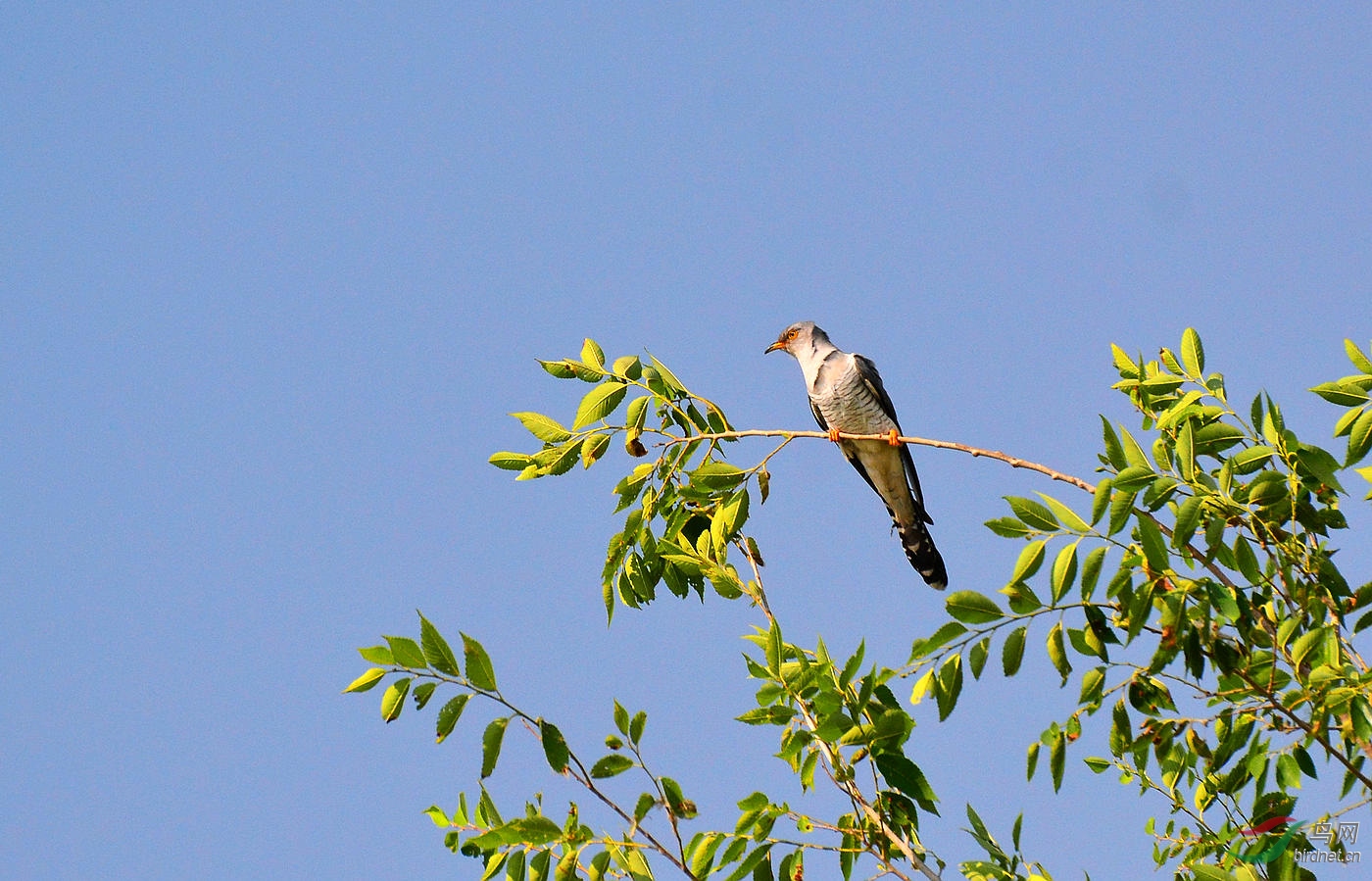 DSC_7207.JPG