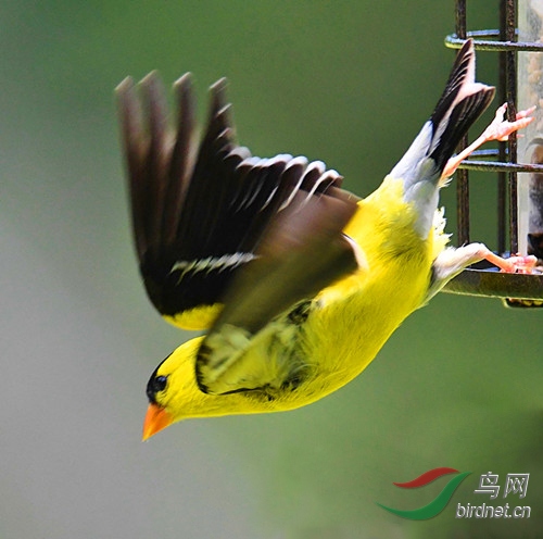 DSC_6115 (2)_������.jpg