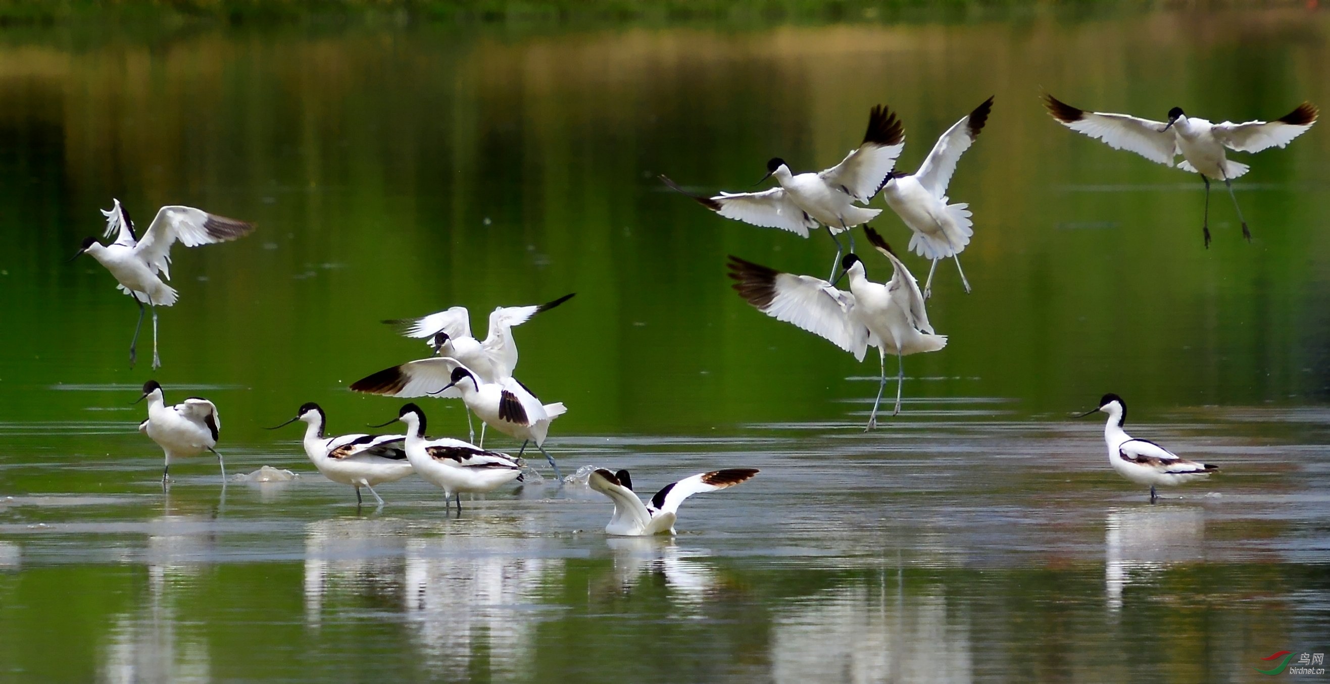 DSC_0110_conew2.jpg