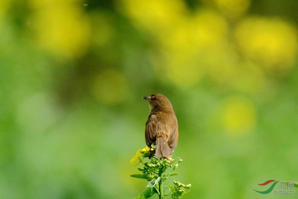367A5905_����.jpg