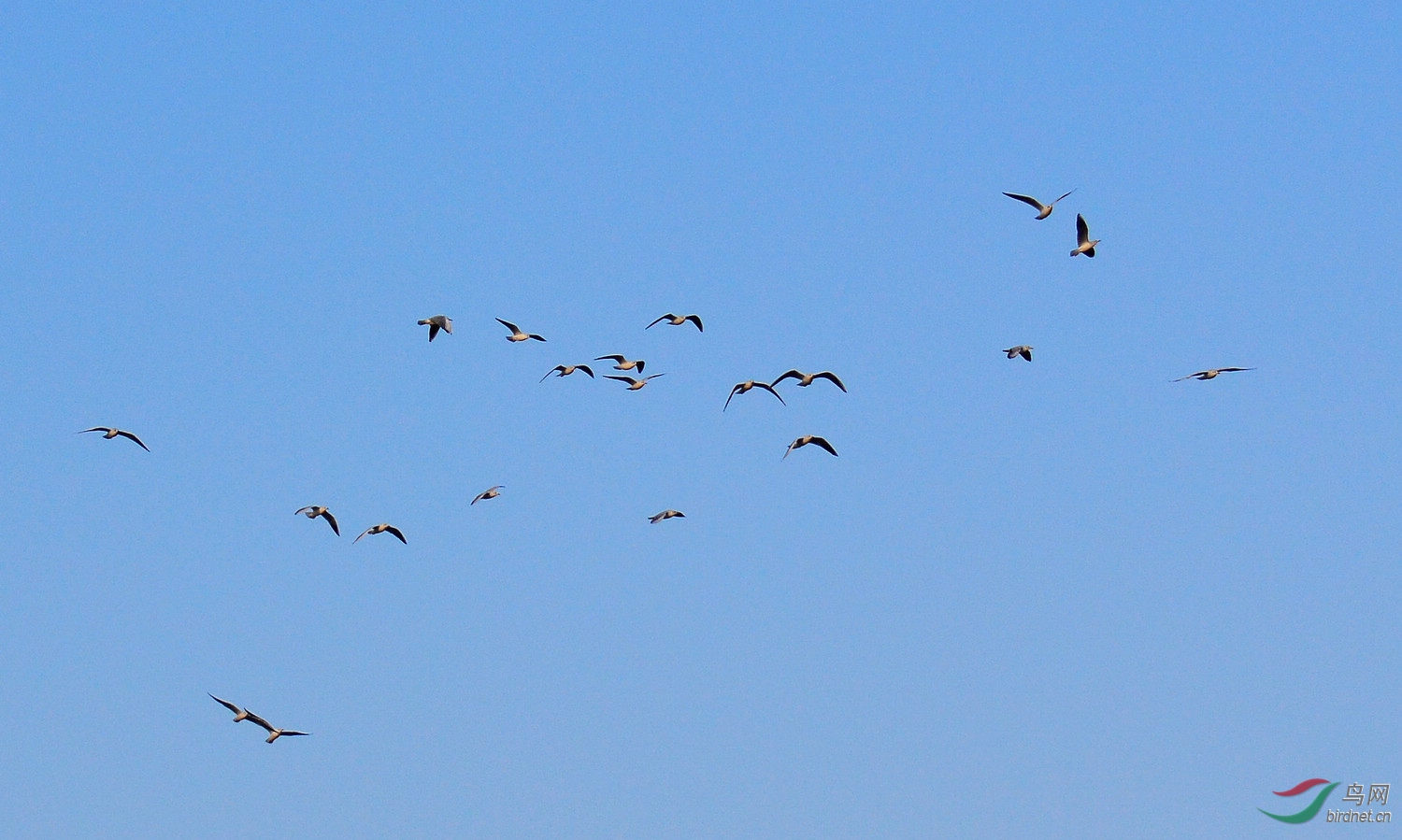 DSC_3413.JPG