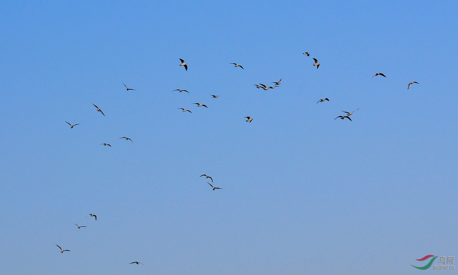 DSC_3412.JPG
