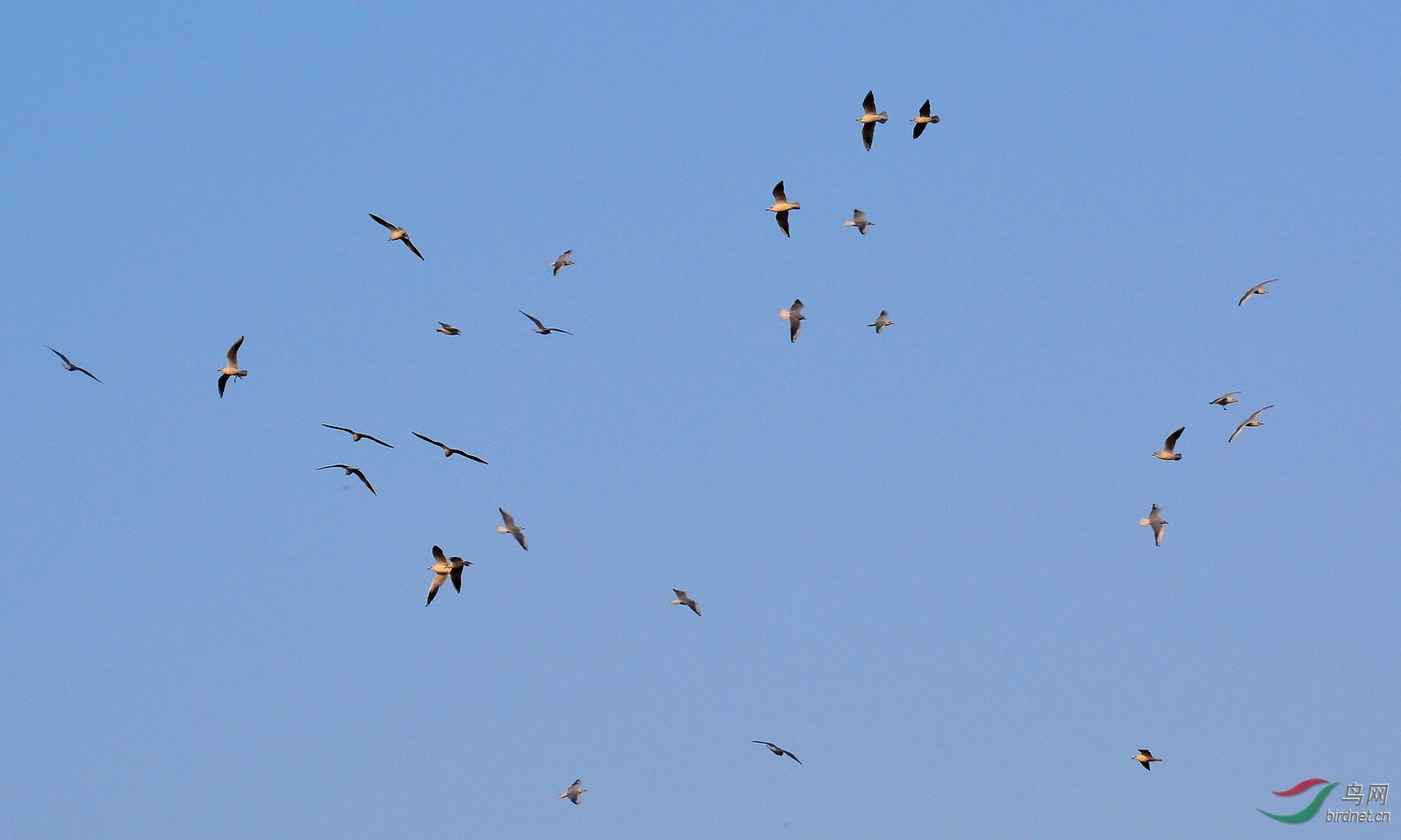 DSC_3414.JPG