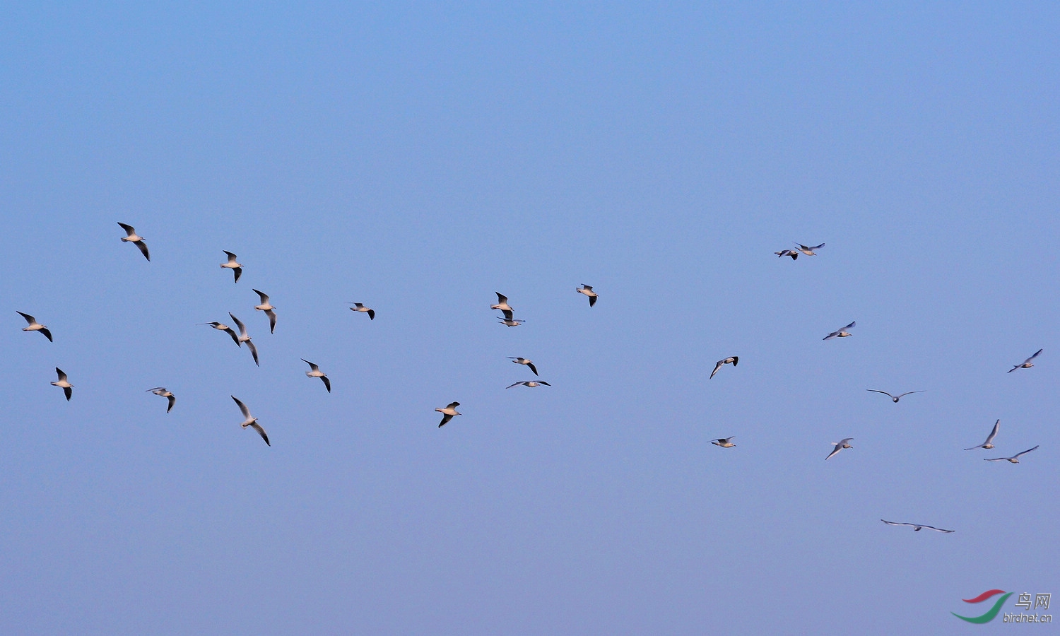 DSC_3404.JPG
