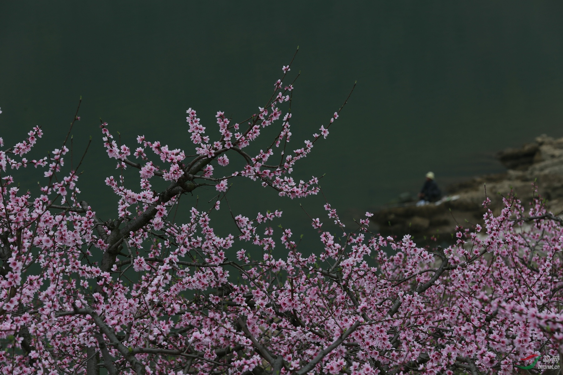 MX1A1253_����.jpg