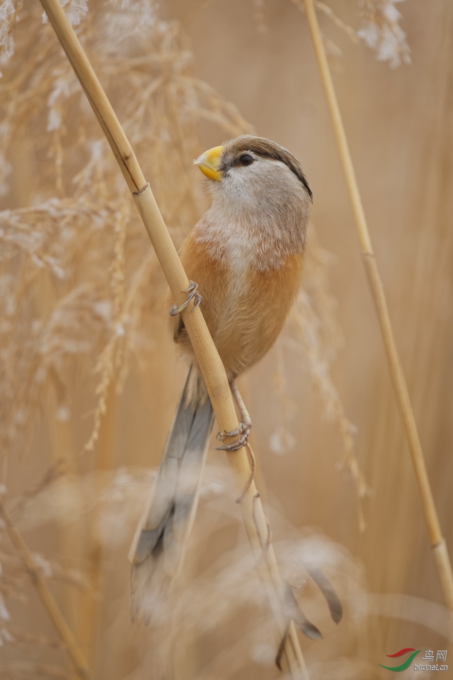 Neo_ 3.35m-DSC_5101_DxO.jpg