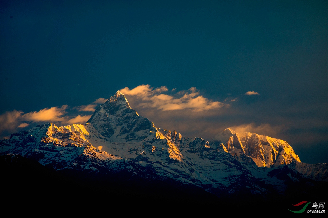 君临天下. 荣获首页精华>