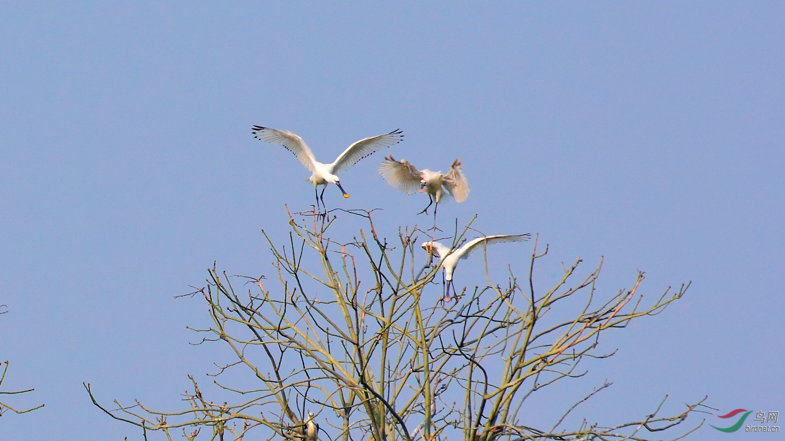 DSC_6342.JPG