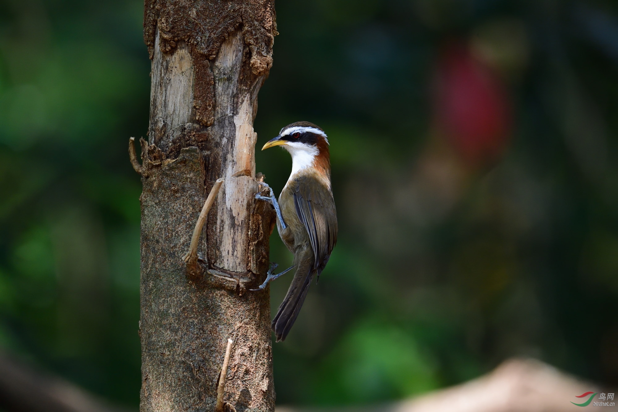 DSC_0576_00001.jpg
