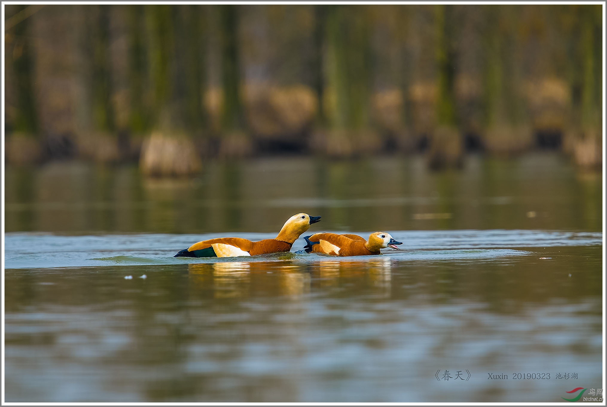 ��_XUX1041��Ϊ���ܶ���-1 2000.jpg