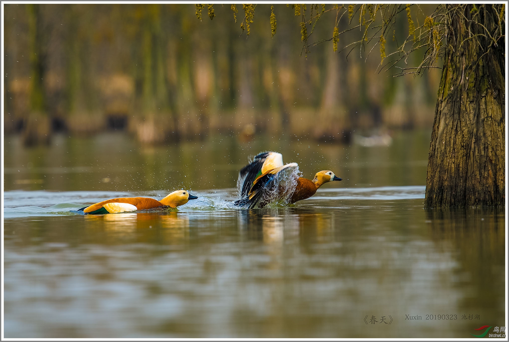 ��_XUX1044��Ϊ���ܶ���-1 2000.jpg