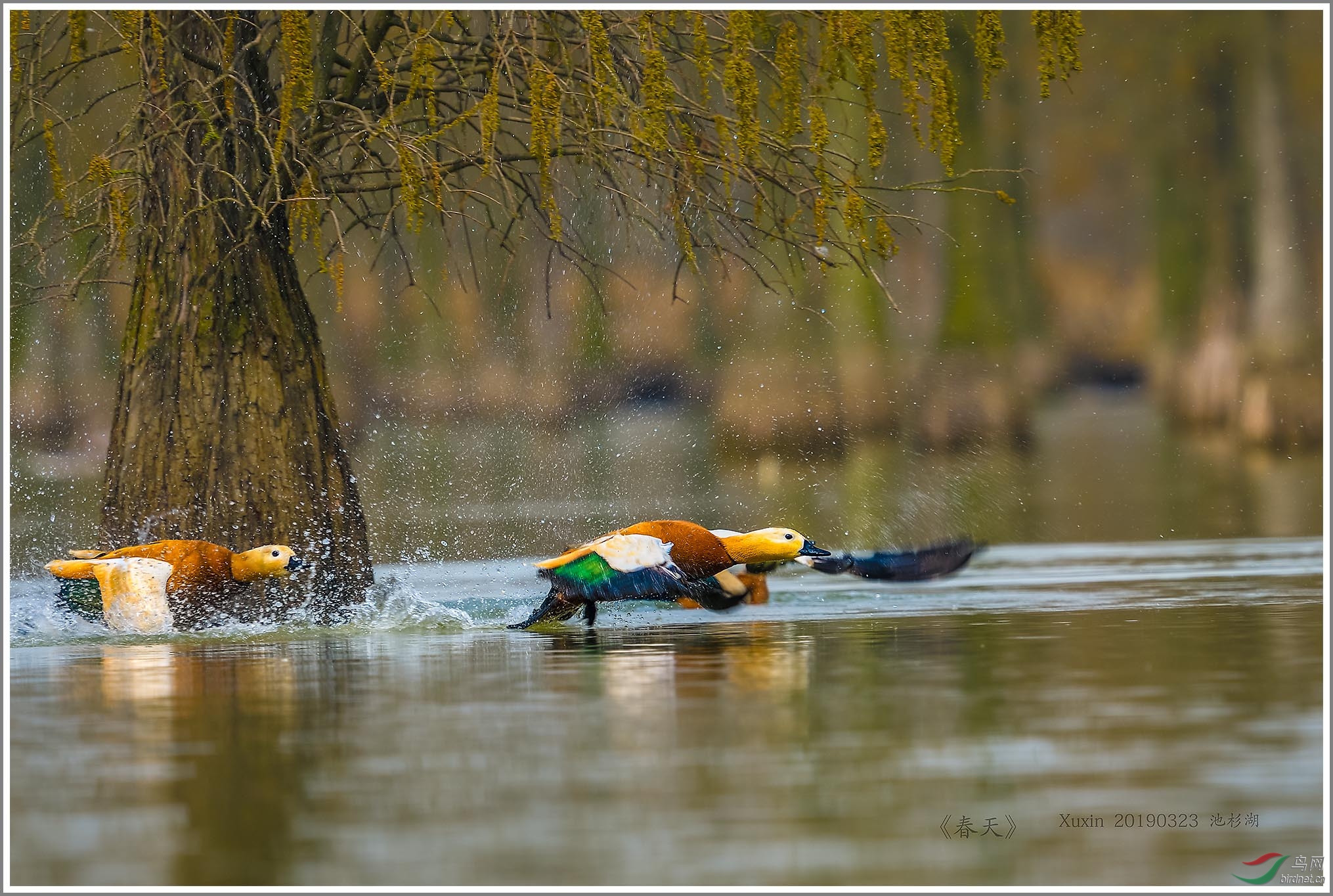 ��_XUX1048��Ϊ���ܶ���-1 2000.jpg