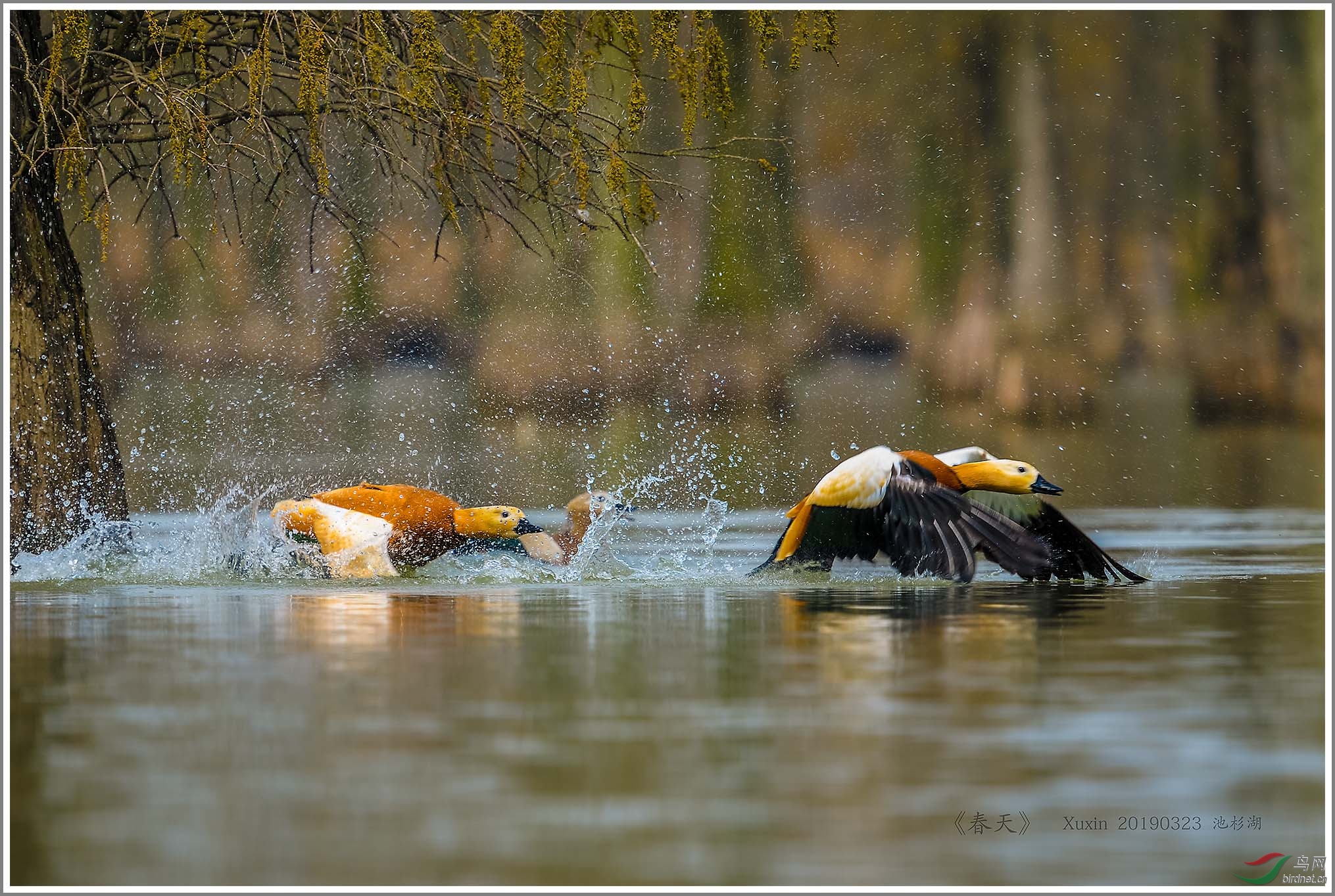 ��_XUX1050��Ϊ���ܶ���-1 2000.jpg