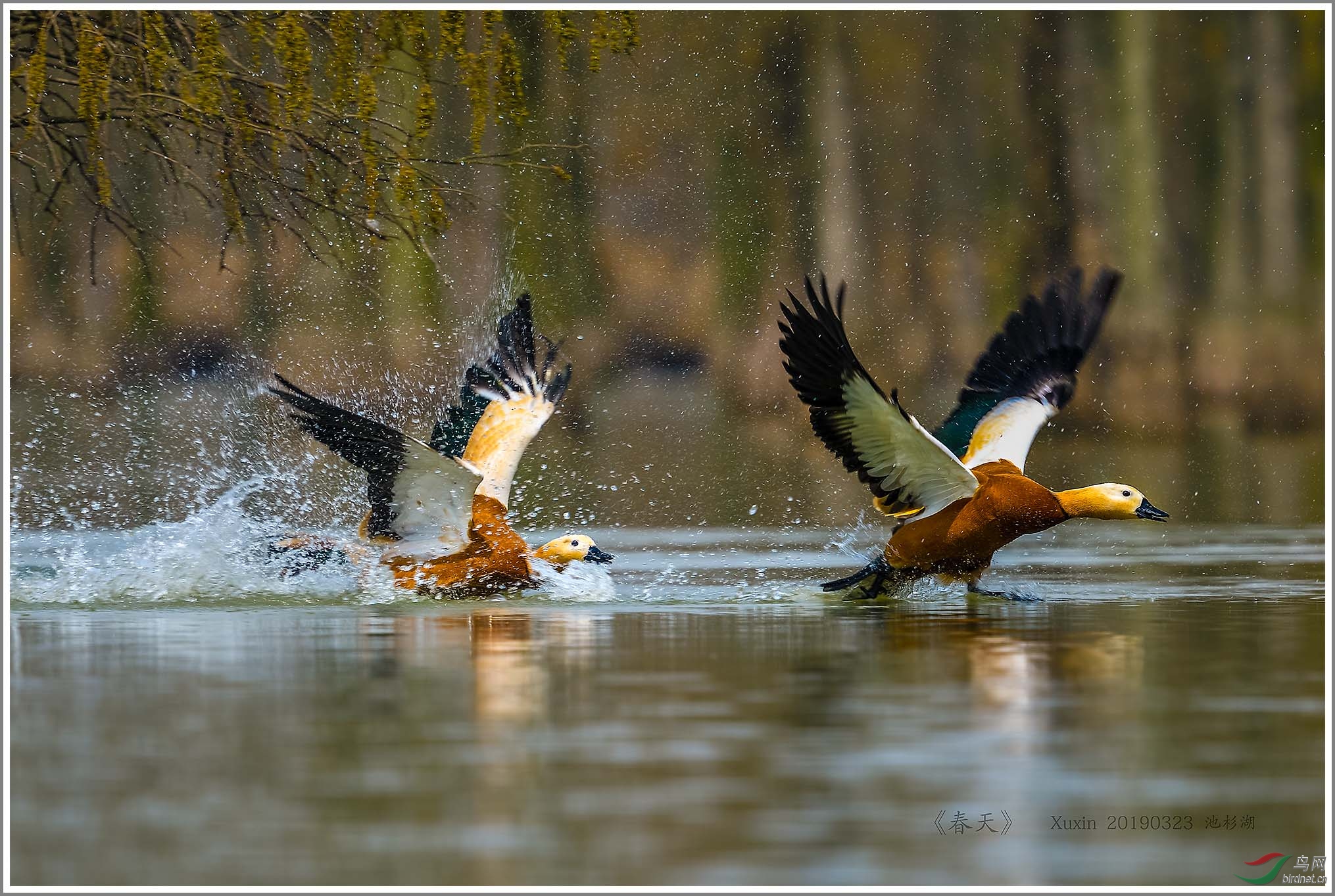 ��_XUX1051��Ϊ���ܶ���-1 2000.jpg