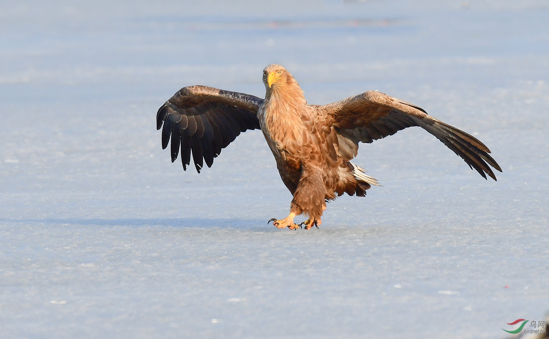 DSC_1266.jpg