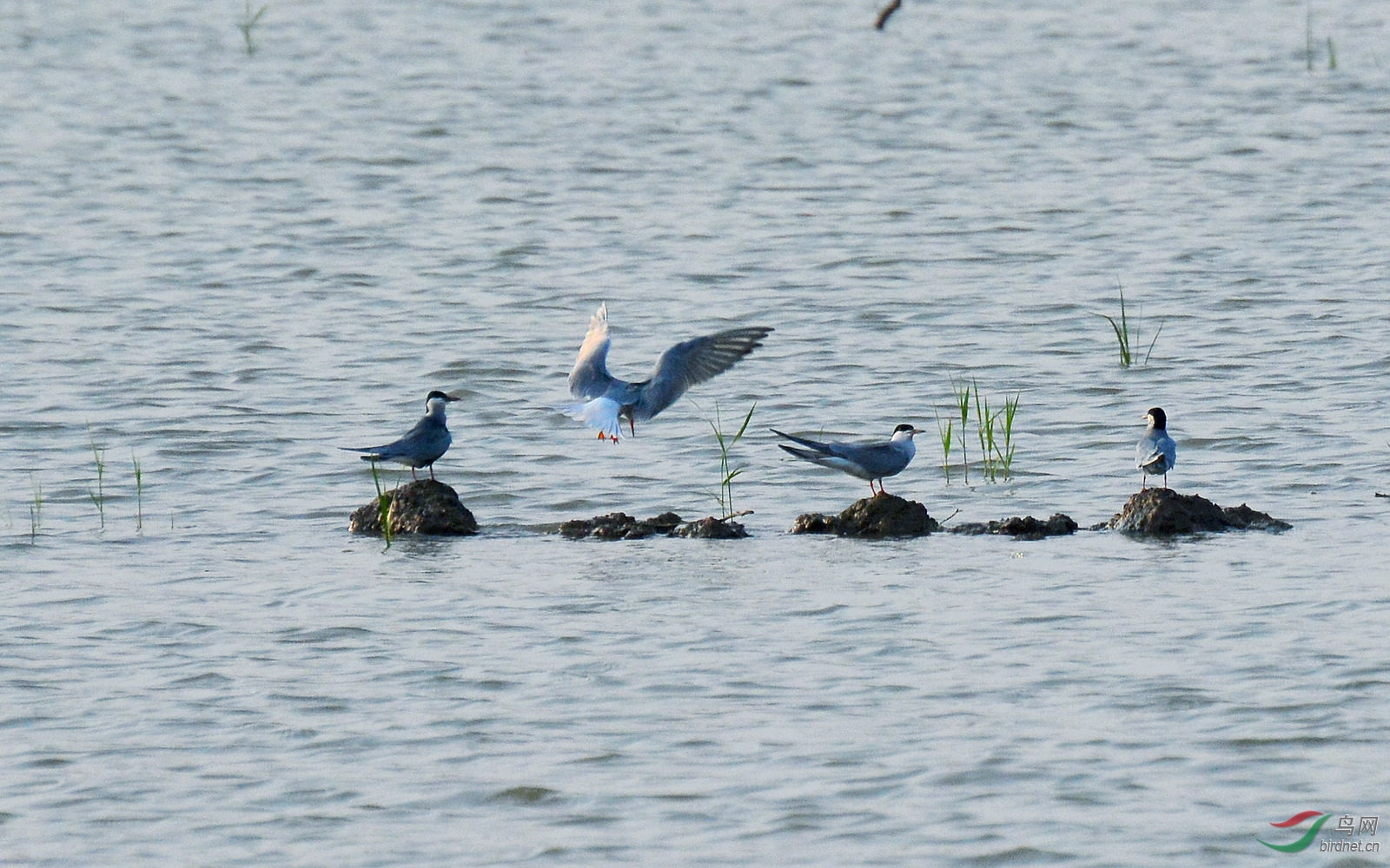 DSC_1409.JPG