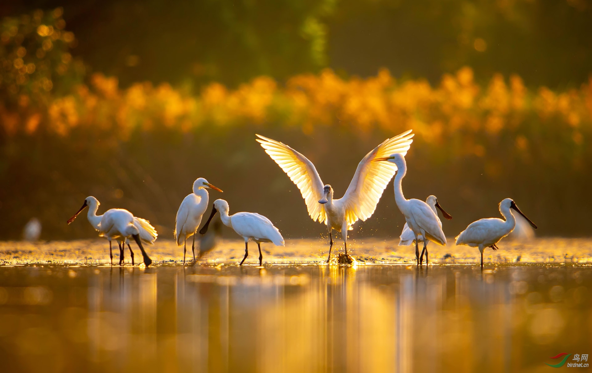 ZXC_8425-2 ����.jpg
