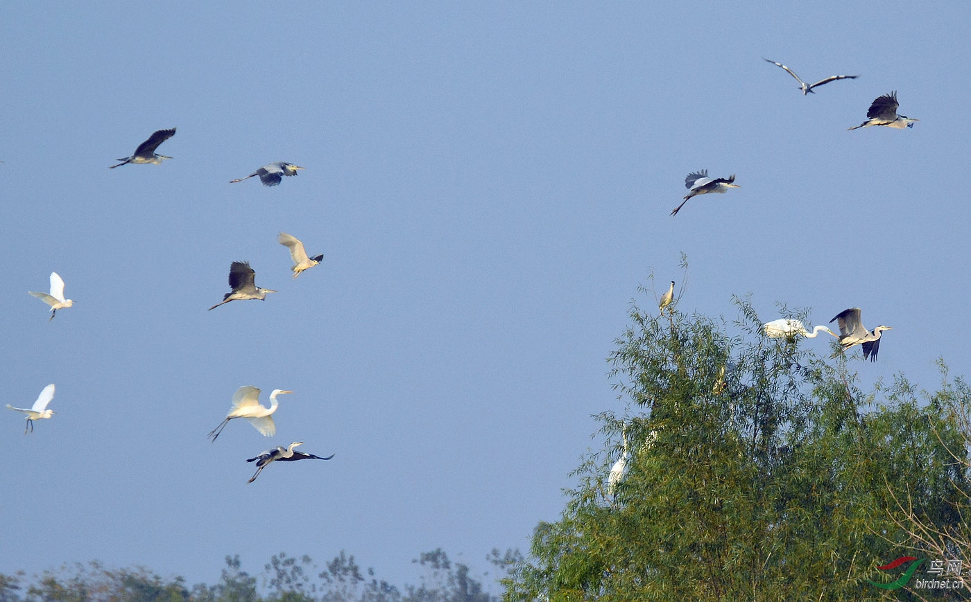 DSC_5632.JPG