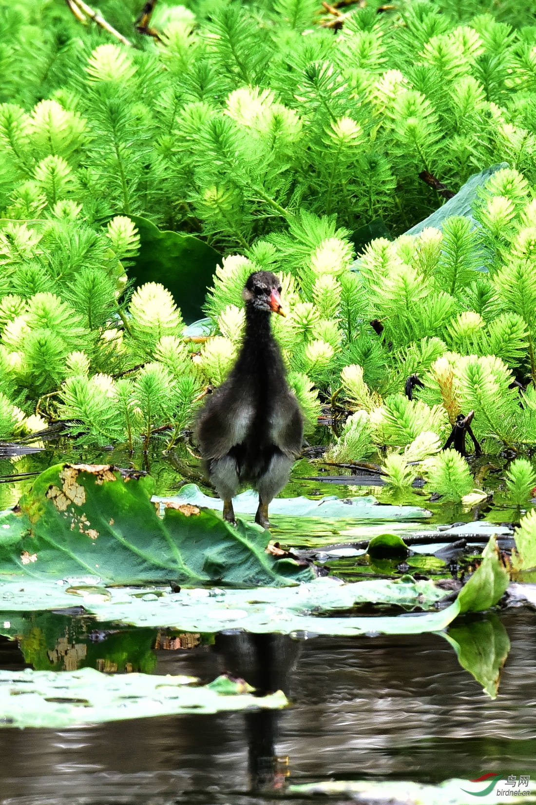DSC_0580.JPG
