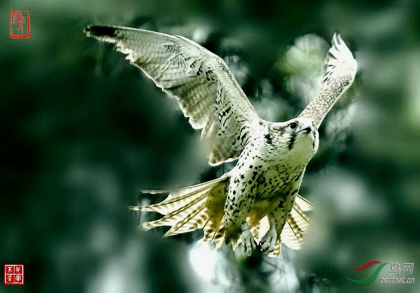 97190D6C-B2EF-44AB-BC42-865A88F088E4.jpeg