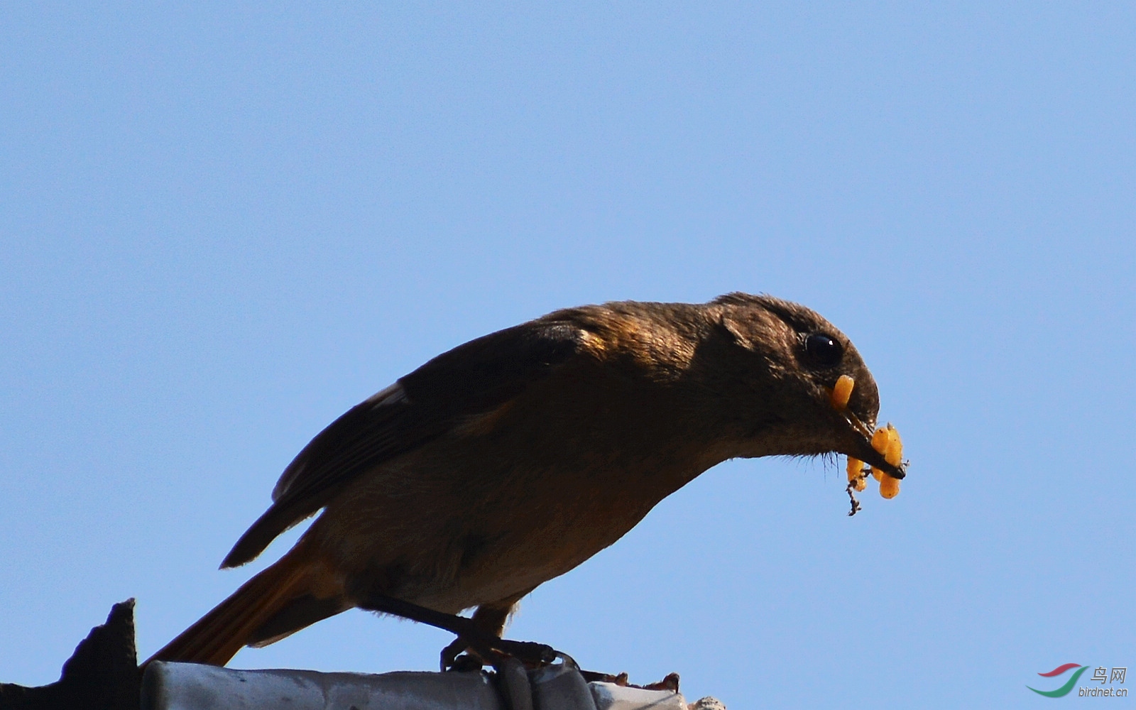 DSC_8599.JPG