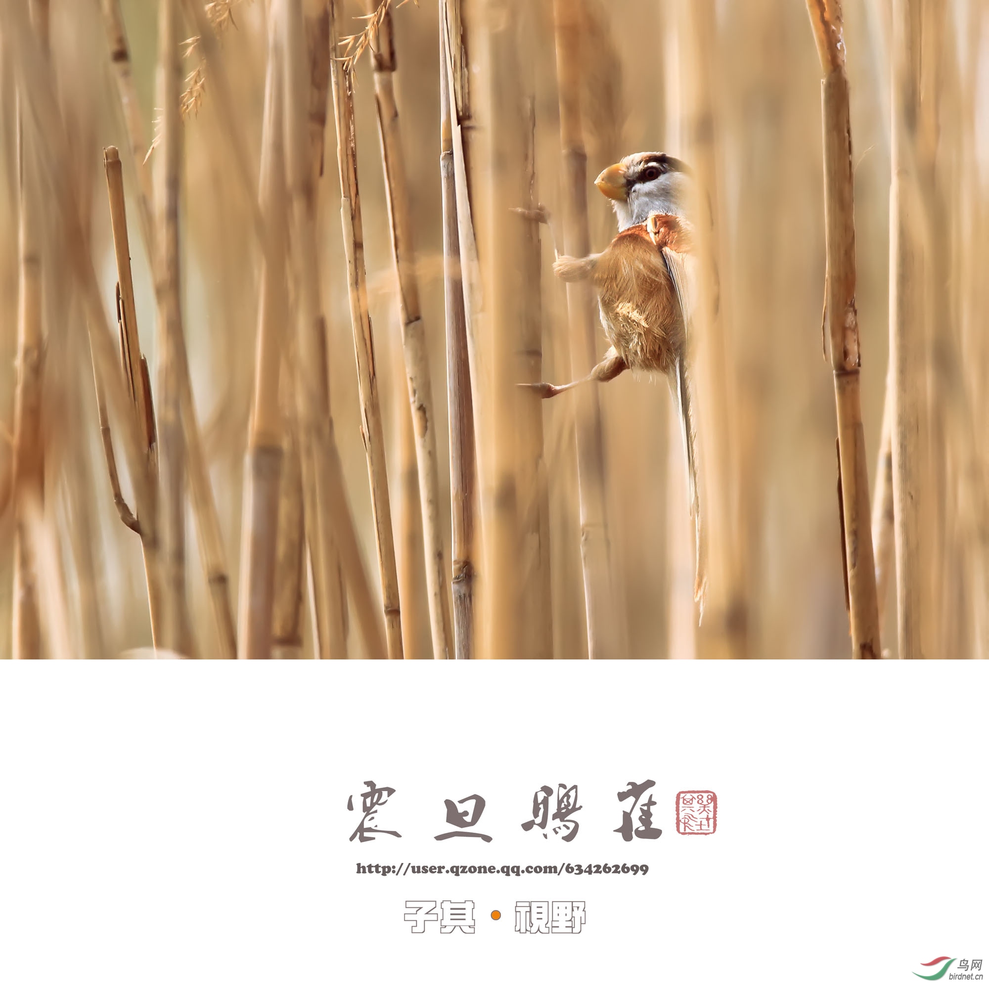 ��ѻȸ 20190403x.jpg