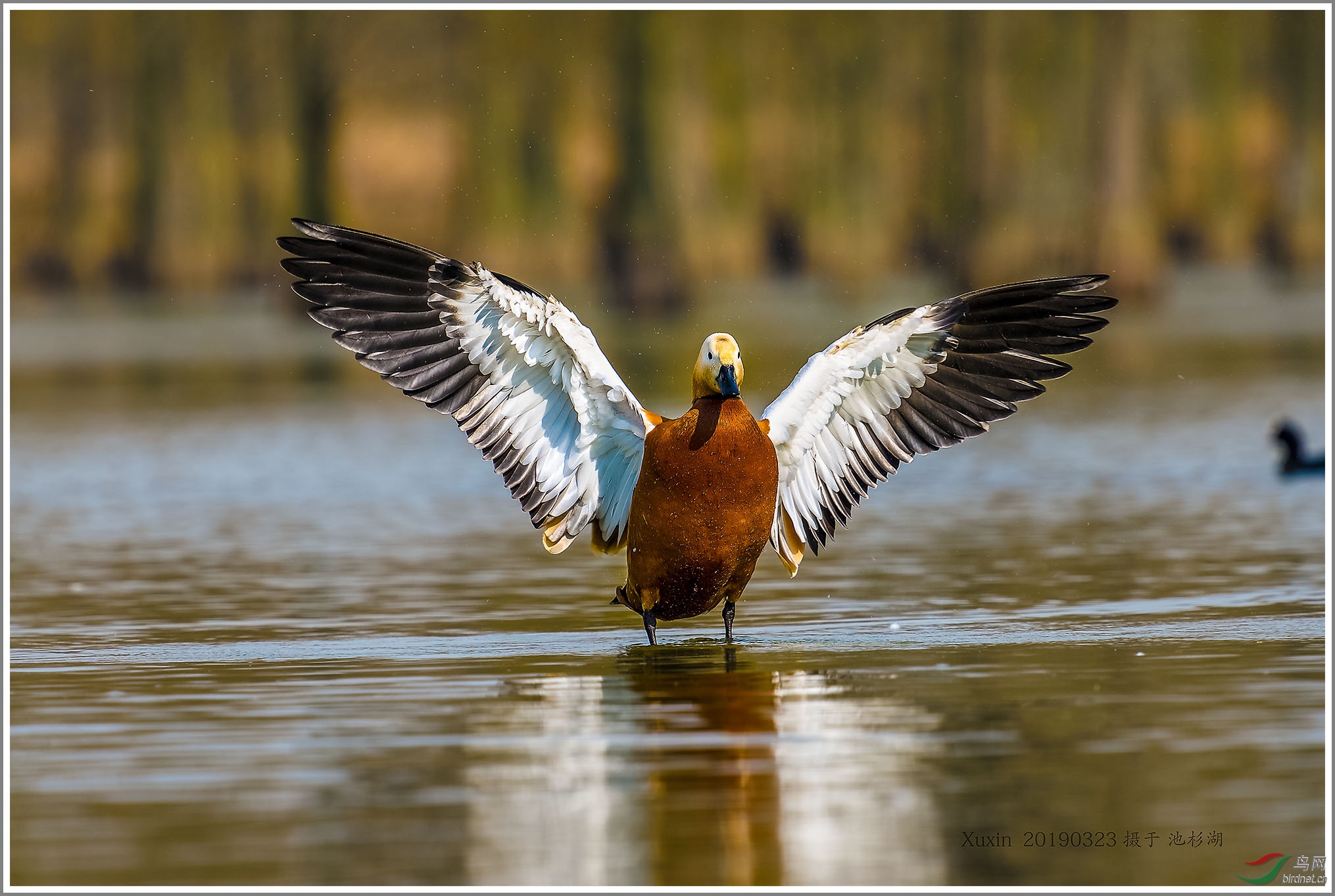 ��_XUX0365��Ϊ���ܶ���-1 2000.jpg