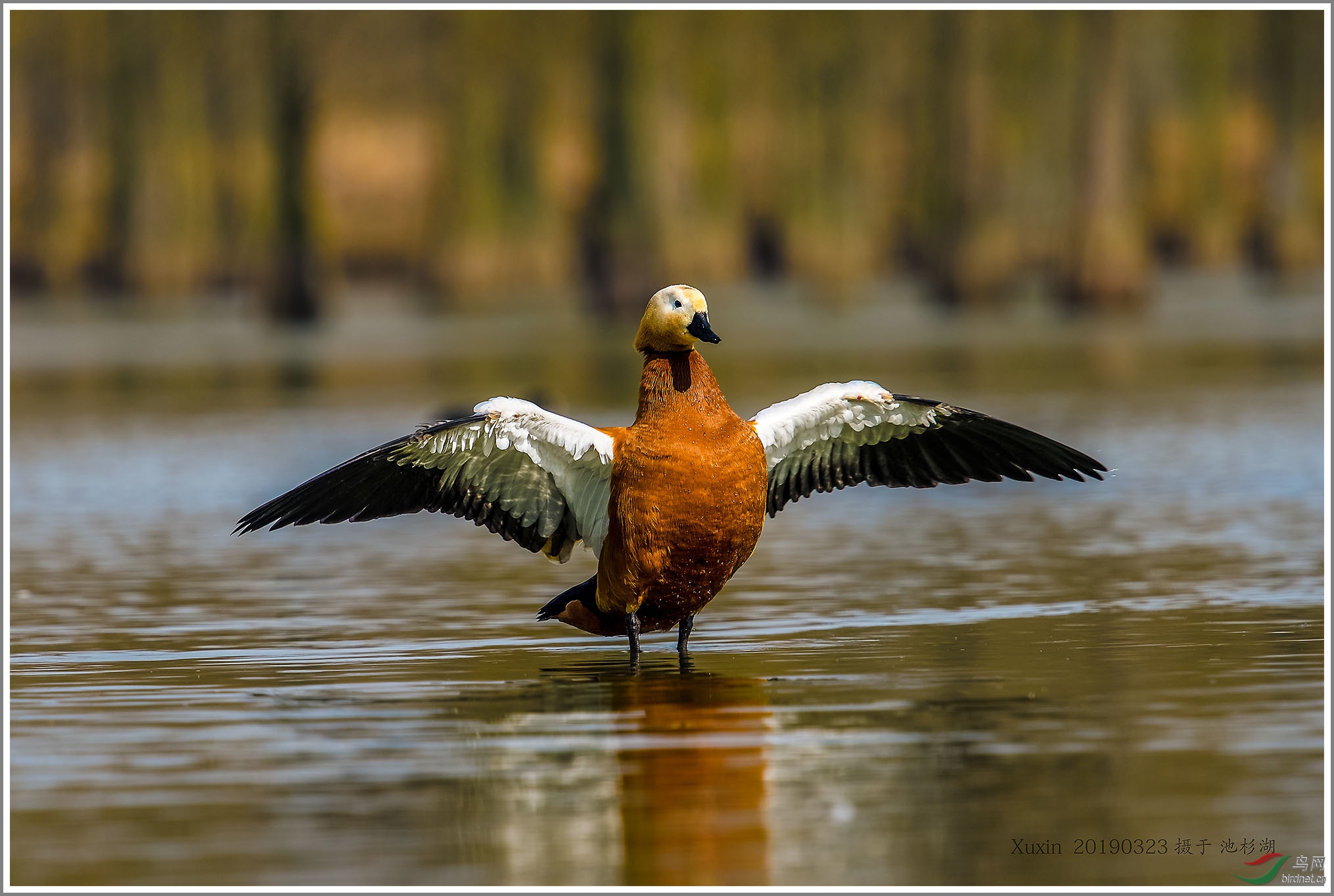 ��_XUX0355��Ϊ���ܶ���-1 2000.jpg