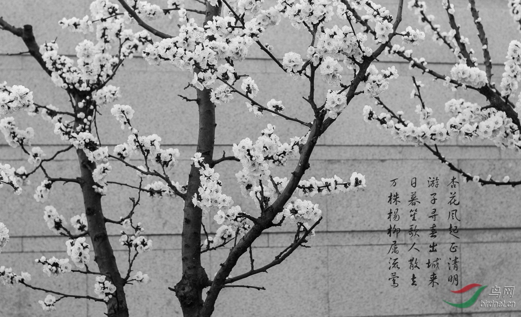 ΢��ͼƬ_20190404221814.jpg